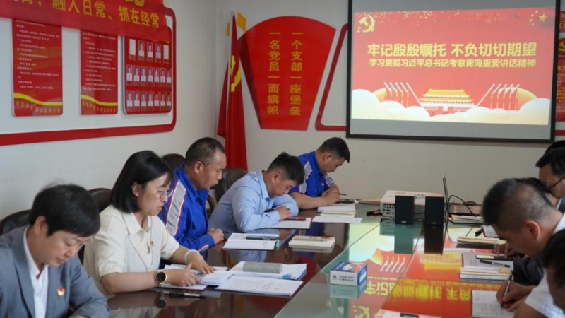 物產(chǎn)汽貿(mào)公司黨支部認真學(xué)習貫徹習近平總書記考察青海時的重要講話精神