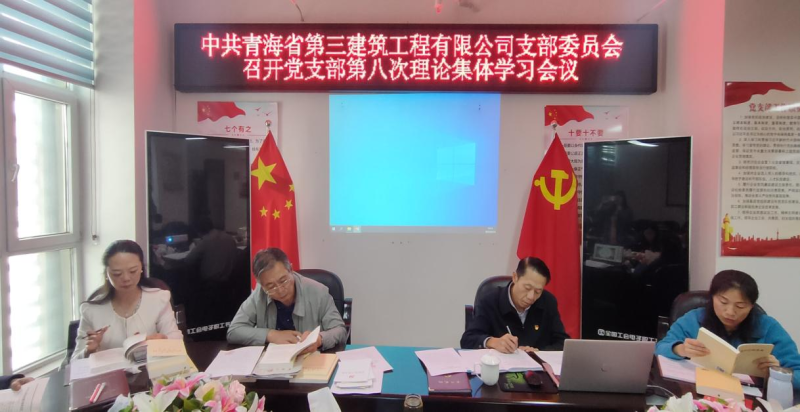 三建公司黨支部召開第八次理論集體學(xué)習(xí)會 ----集團黨委委員、紀委書記講主題教育專題黨課
